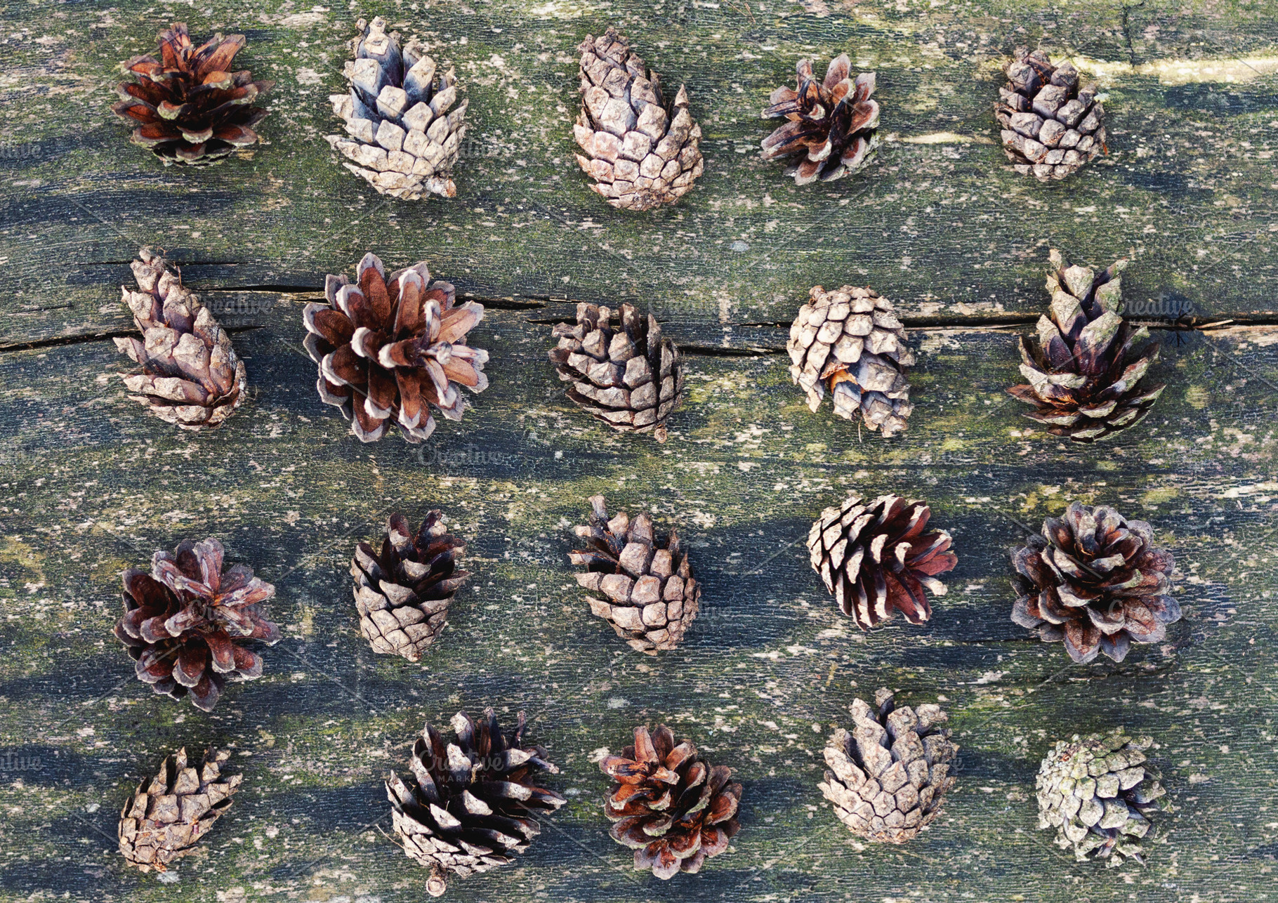 Pine cones on old wood background, a Nature Photo by BOOCYS