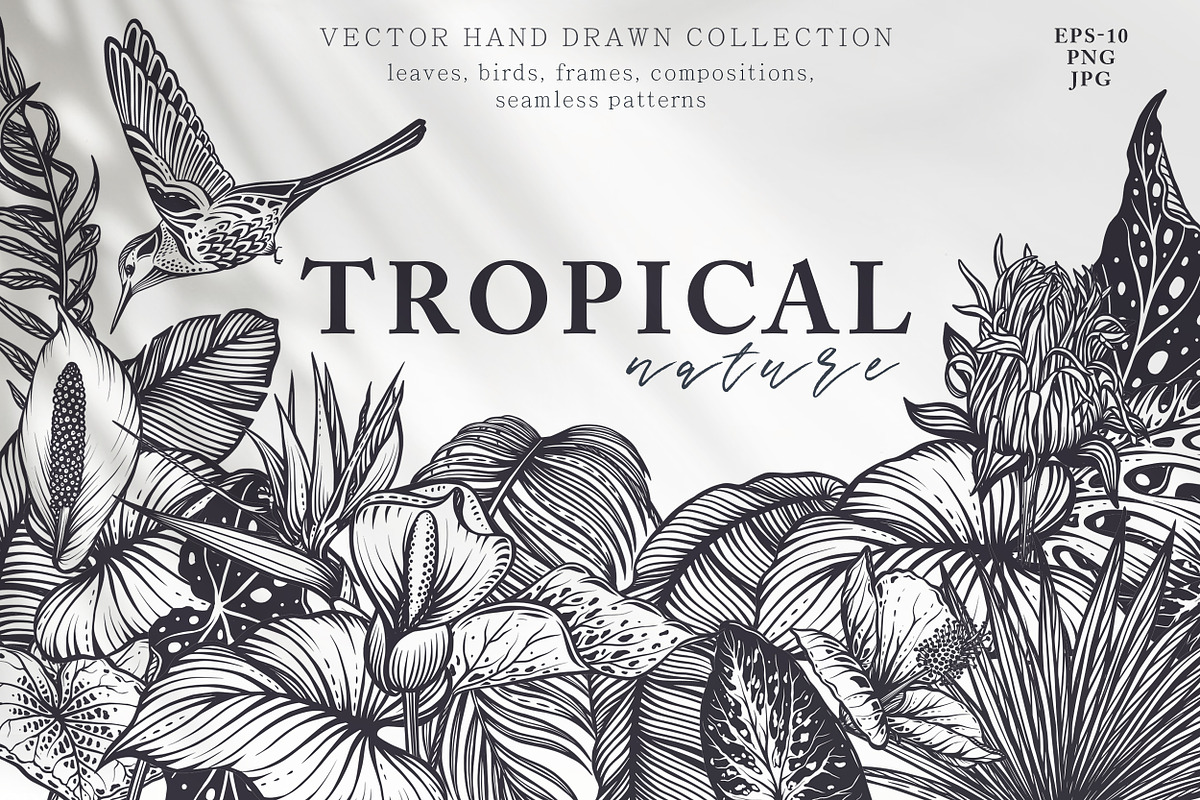 Tropical nature vector set, an Animal Illustration by Molly art (Photo 1 of 15)