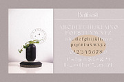 Balinest _ chic modern font, a Serif Font by Penatic Studio (Thumbnail 9 of 10)