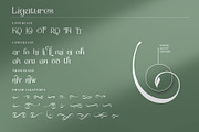 The Moot Jungle Nature Typeface, a Serif Font by alit design (Thumbnail 11 of 15)
