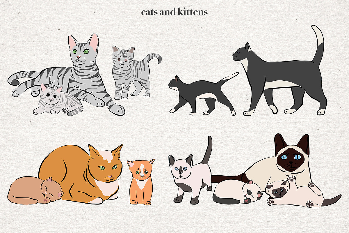 Cat Lover - Vector collection, an Animal Illustration by Alina Sh (Photo 5 of 10)