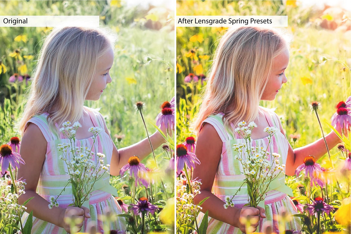 Spring Presets - Lightroom Presets preview 7