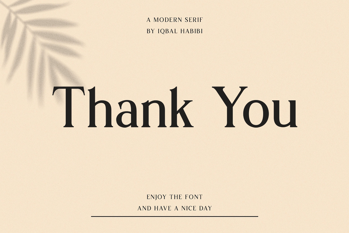 Sochelia - Modern Serif Font preview 7