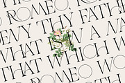 THE FRENCH KISS ROYAL TYPEFACE, a Serif Font by SilverStag Type Foundry (Thumbnail 2 of 23)
