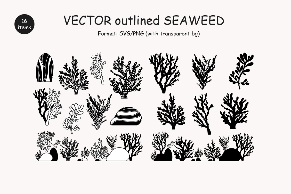 Algae & Coral Vector + Watercolor, an Object Illustration by IrenKlm (Photo 4 of 4)