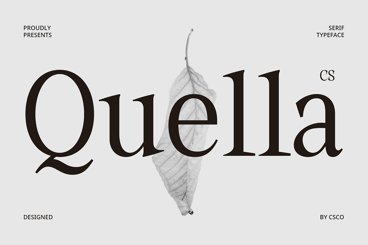 CS Quella – Contemporary Font, a Serif Font by Craft Supply Co. (Photo 1 of 8)