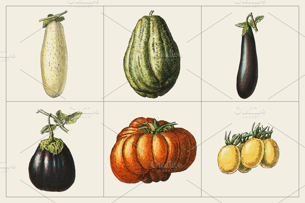 Fruit and Vegetable Art Collection, a Food Illustration by Illusiongraphic (Photo 6 of 14)