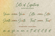 Bonfires, a Script Font by Ditatype (Thumbnail 8 of 10)