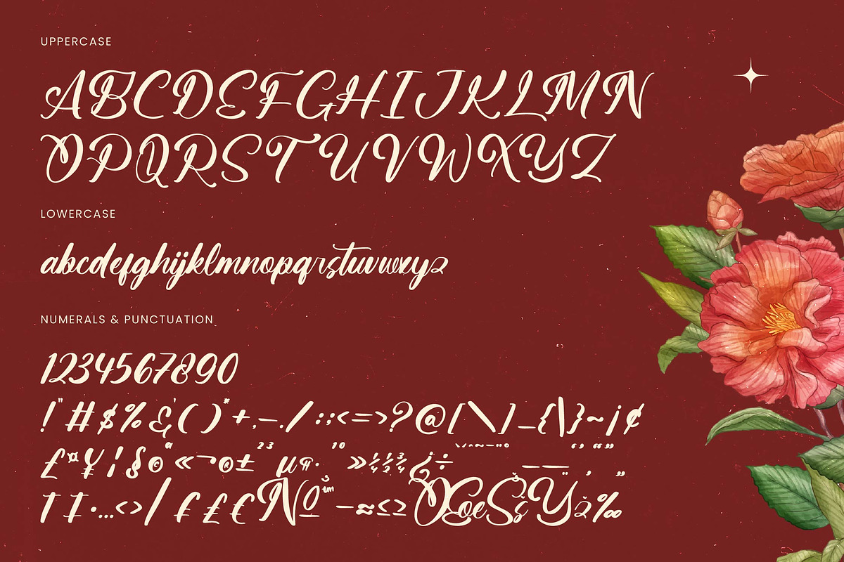 Aurelie Unitem Bold Calligraphy Font, a Serif Font by Letterena Studios Script (Photo 17 of 20)