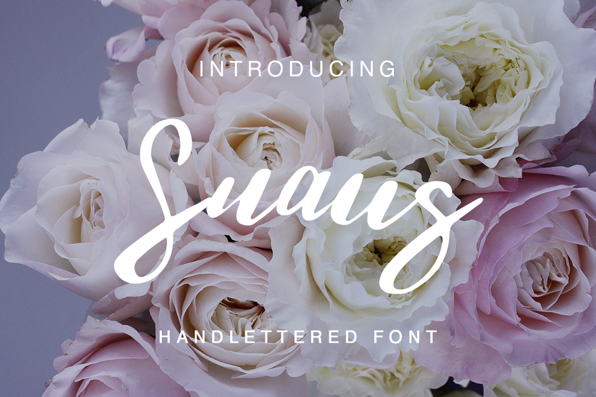 Snaus