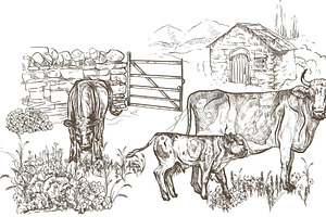 Cows with calves on the farm.