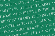 Nelhinco Modern Display Serif, a Serif Font by Letterena Studios (Thumbnail 9 of 15)