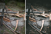 Forest VSCO-Like Lightroom Preset, an Action Add-On by M E G A S E T S (Thumbnail 5 of 6)