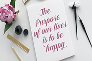 Barna, a Script Font by studiobasic (Thumbnail 6 of 7)