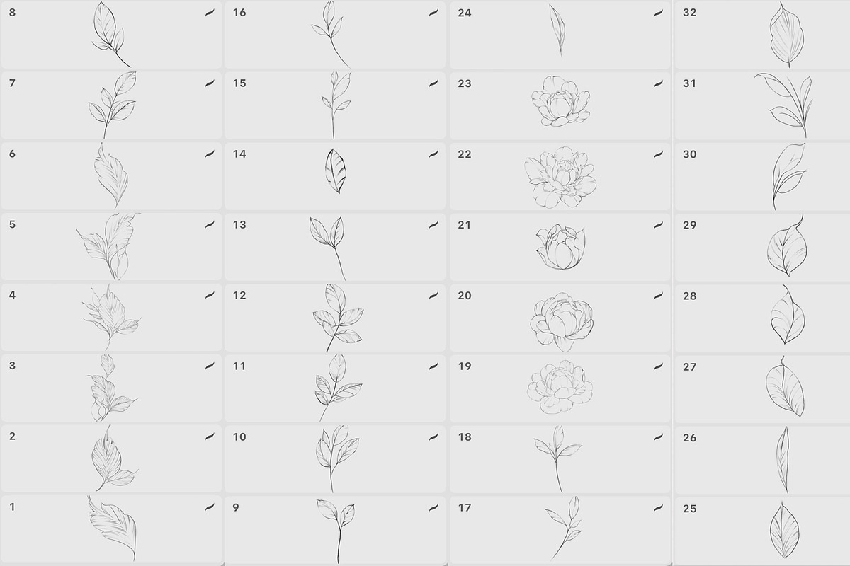 Procreate flower stamp, peony brush, a Brush Add-On by AnnaPolitmerskaja (Photo 5 of 5)