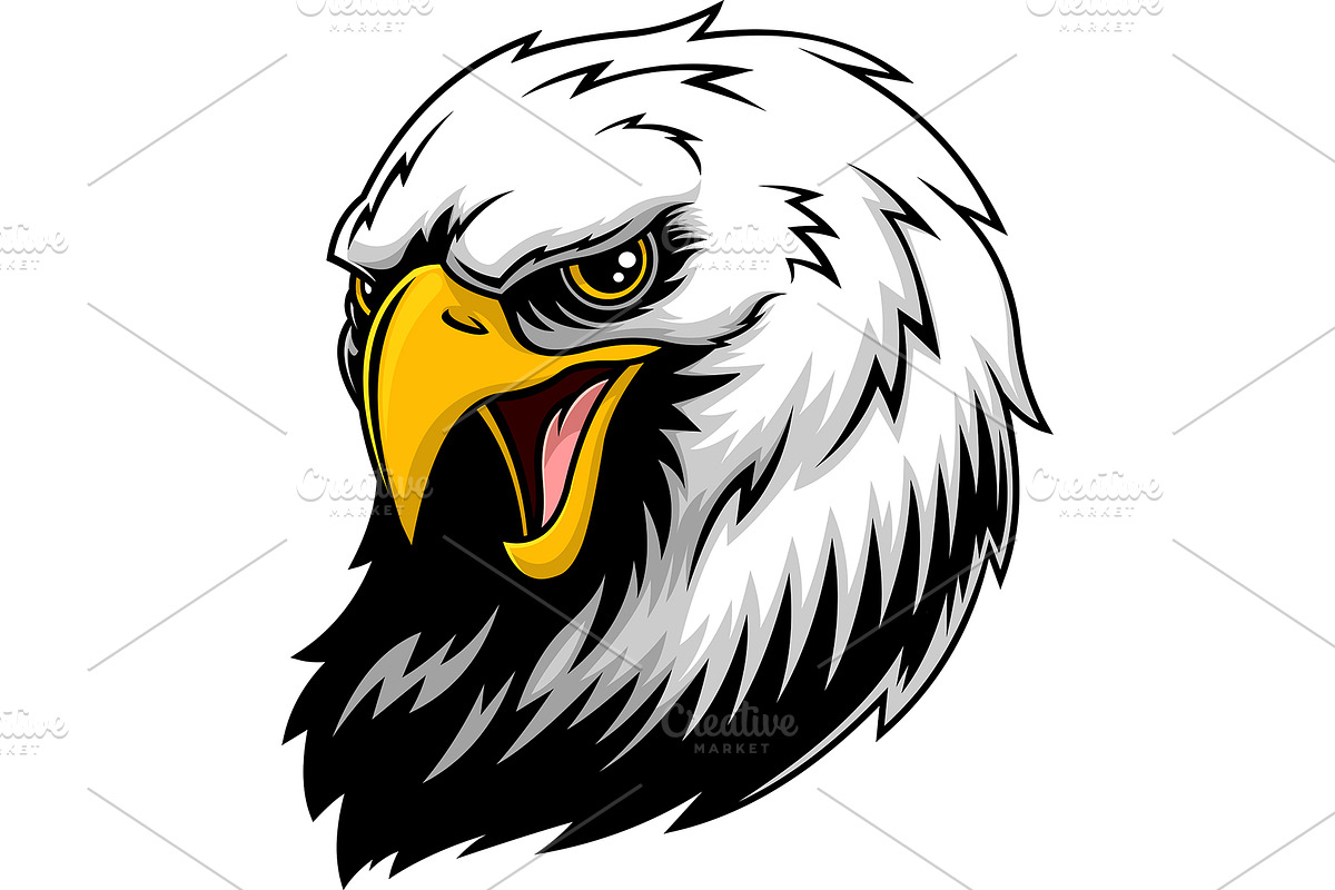 Bald Eagle Head, an Illustration by HitToon