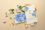Watercolor Clipart Hydrangea flowers, a Decorative Illustration by Kotkoa (Thumbnail 8 of 12)