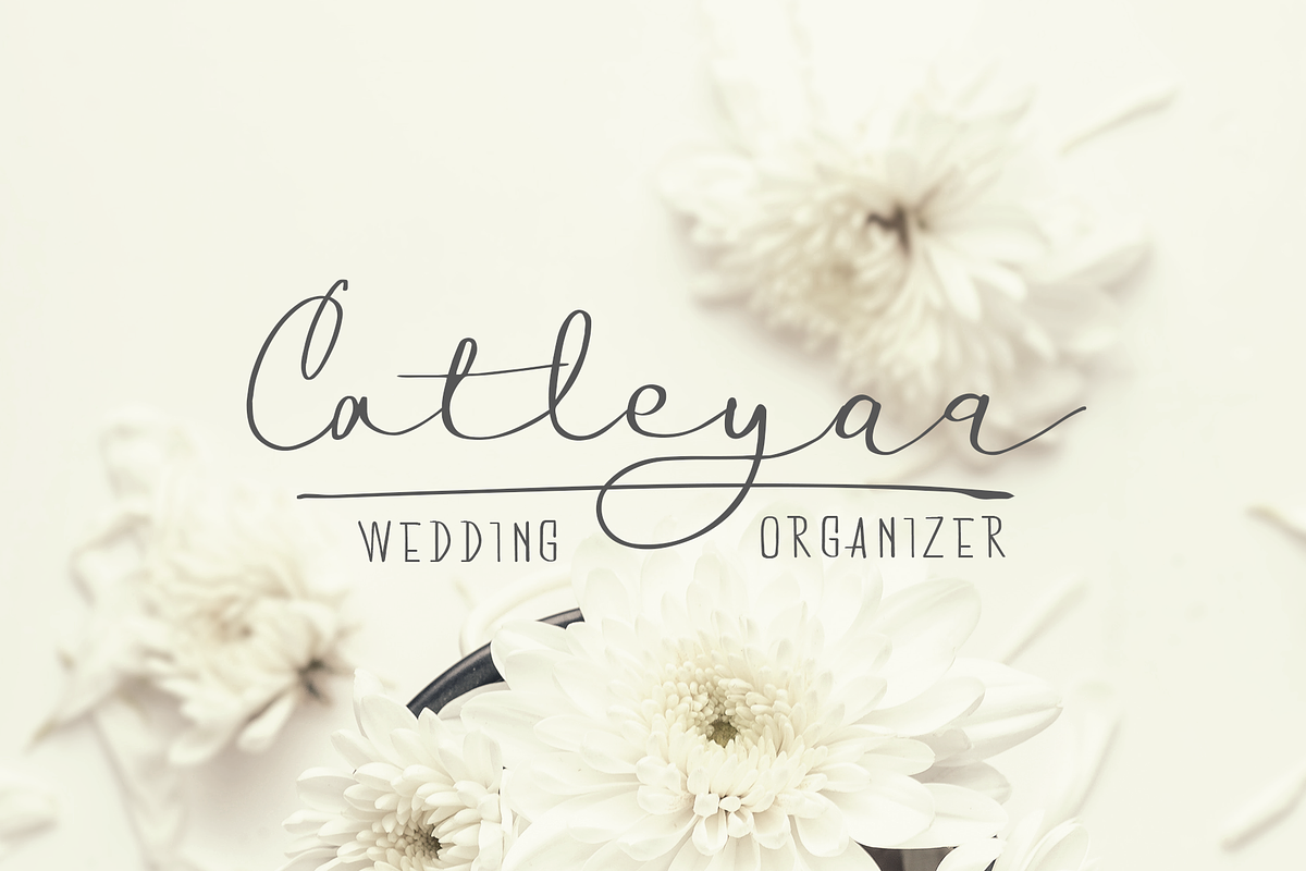 Boulevard - Handwritten Font Duo preview 5