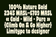 Reiger - Bold Condensed Font, a Sans Serif Font by limitype (Thumbnail 4 of 11)