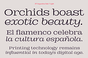 DT Augustina Slab 7 Subfamily, a Slab Serif Font by Deveze Type Foundry (Thumbnail 5 of 31)