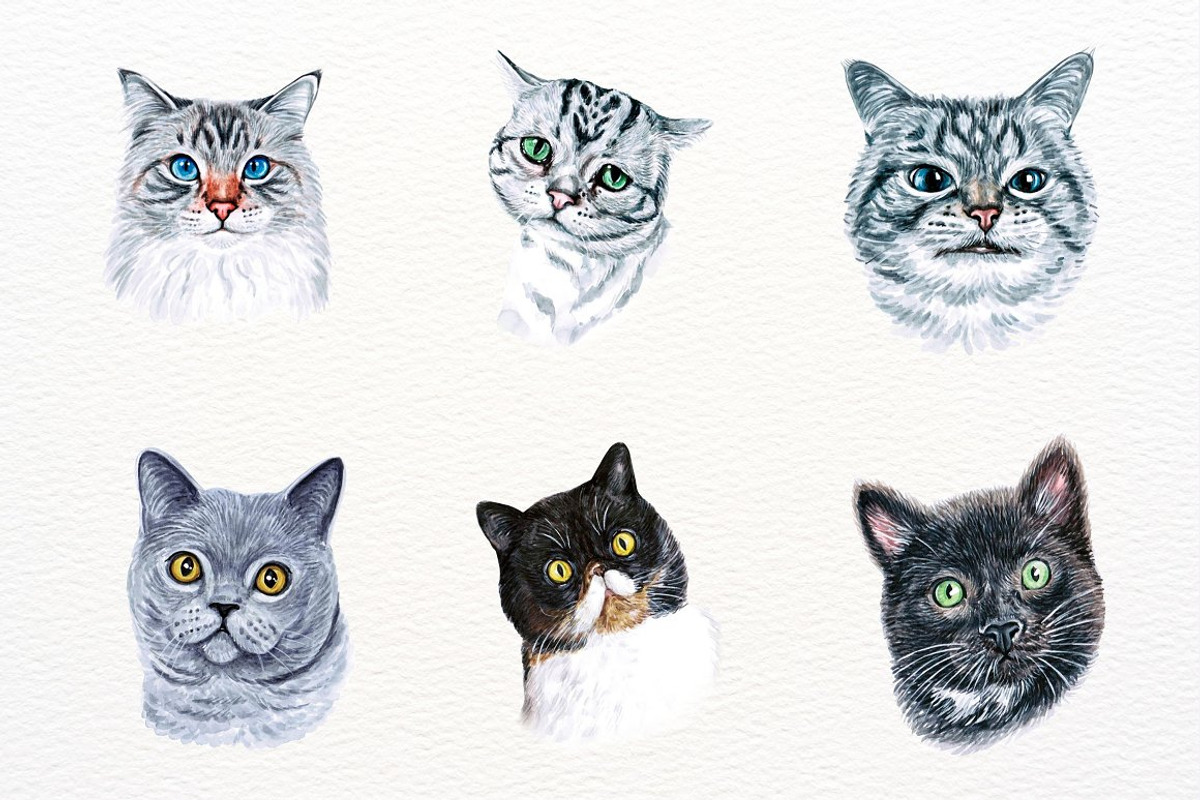39 Realistic Watercolor Cat Portrait, an Animal Illustration by ArtbyHien (Photo 7 of 8)