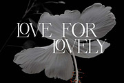 Astraroche Modern Serif Font, a Serif Font by UICreative (Thumbnail 6 of 13)