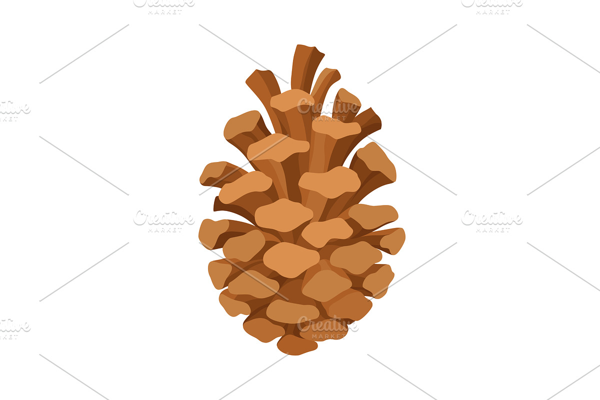 Fir or pine cone. Nature decoration, an Object Illustration by the8monkey