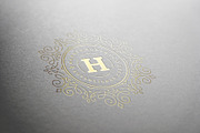 36 Luxury Ornament Logos, a Branding & Logo Template by Vasya Kobelev (Thumbnail 13 of 13)
