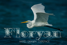 Floryan Font