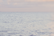 Pastel Beach ~ 6 Stock Photographs, a Nature Photo by Dee Andreoli Photography (Thumbnail 7 of 7)