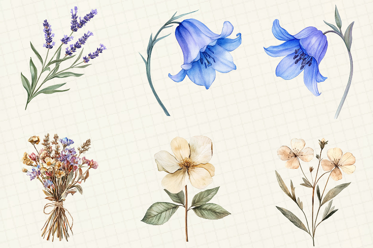 Watercolor Botanical Flower Clipart, an Illustration by OK Design (Photo 3 of 5)