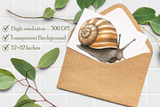 Watercolor snail clip art, an Illustration by Libby Wishes (Thumbnail 6 of 7)