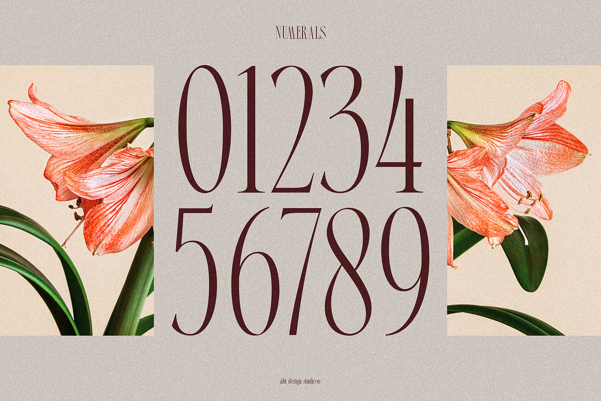Broshock Typeface, a Serif Font by alit design (Photo 15 of 20)