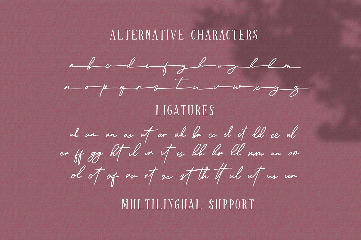 Sparkling Bright - Beauty Font Duo, a Serif Font by Dm Studio (Photo 7 of 10)