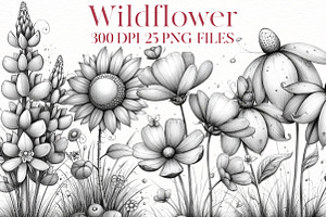 Watercolor wildflower clipart, an Illustration by Designworld