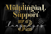 Waymar family, a Serif Font by NREY (Thumbnail 4 of 9)