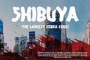 Karasu - Japan Display Font, a Font by Arendxstudio (Thumbnail 7 of 9)