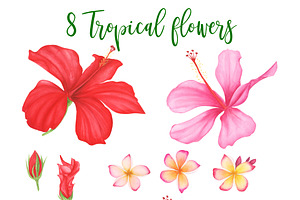 Tropical Leaves And Flowers Clipart