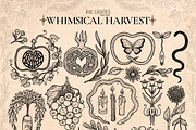 Whimsical Harvest | Lammas and Mabon, a Seasonal Illustration by Ink Stories (Thumbnail 3 of 14)