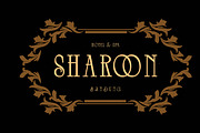 Aureli Vintage Display Font, a Serif Font by Luna Shop (Thumbnail 3 of 10)
