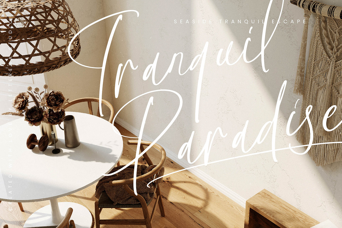 Silentone Barcelona Modern Script, a Script Font by Letterena Studios Script (Photo 7 of 15)