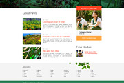 Modern Website Template Design, a Websites & App Template by Malst (Thumbnail 2 of 4)
