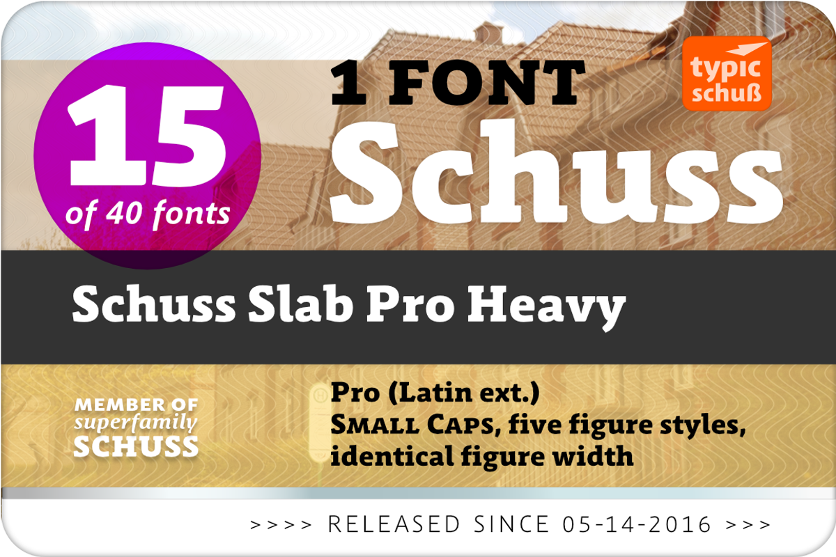 SchussSlabProHeavy No.15 (1 Font) preview 2