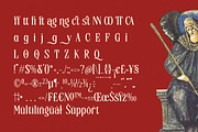Senovac Bold Tall Serif Display, a Serif Font by timelesstype.co (Thumbnail 19 of 20)
