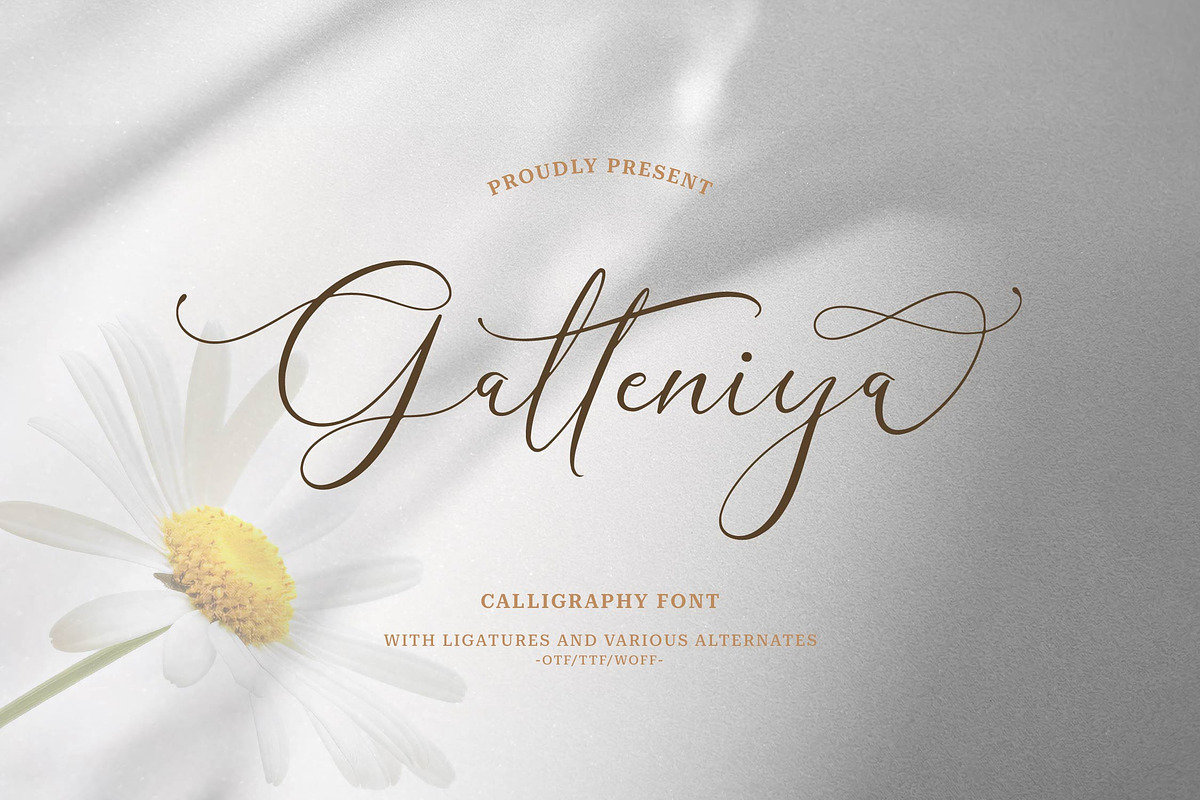 Galteniya | Beautiful Script, a Script Font by Denustudios (Photo 1 of 15)
