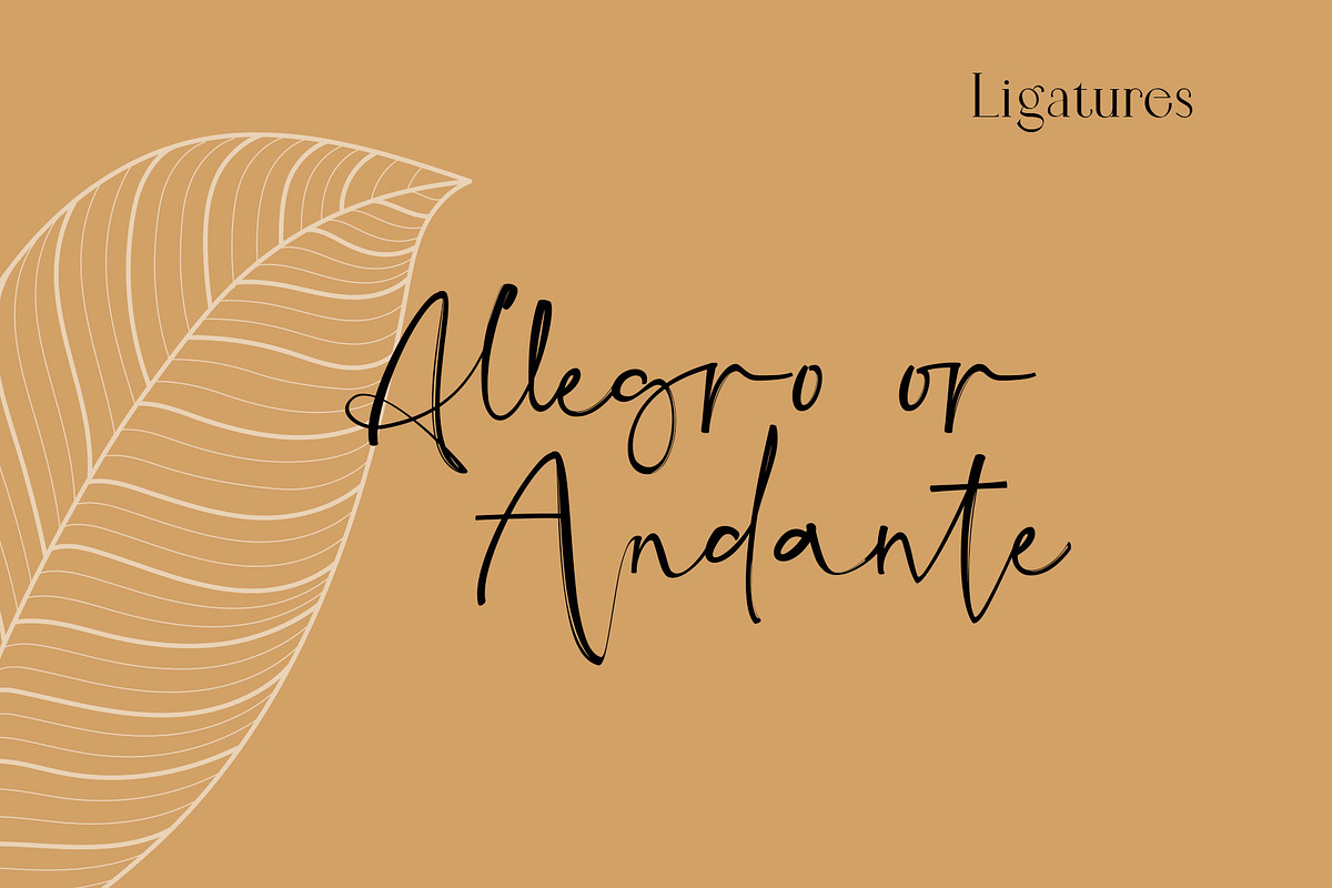Therefore Signature Font Duo, a Script Font by Ryul Davidson (Photo 4 of 13)