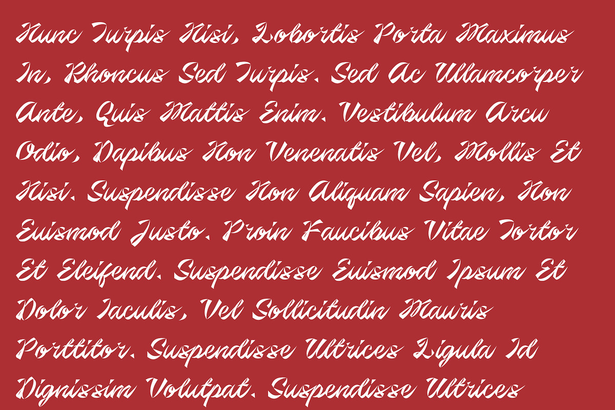 Berlin Script - A Display Script, a Script Font by Brainware Graphic (Photo 2 of 5)