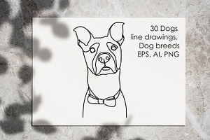 Dogs Line Drawings. Dog Breeds