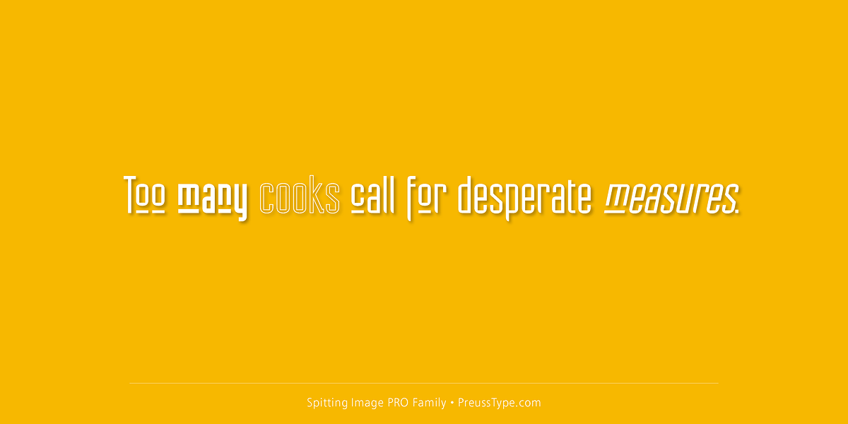 Spitting Image PRO, a Sans Serif Font by preussTYPE (Photo 6 of 9)