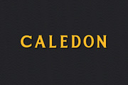 Lambreta Font Duo, a Font by HRDR (Thumbnail 2 of 8)